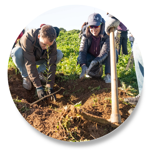 Voluntarios-Reforestación